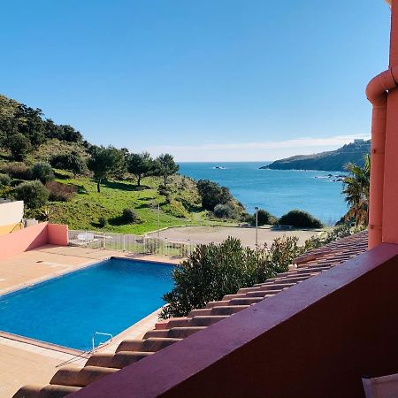 Appartement 6 Personnes Vue Mer Cerbère Dış mekan fotoğraf
